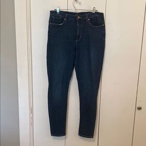 Banana Republic Dark Blue Skinny Jeans